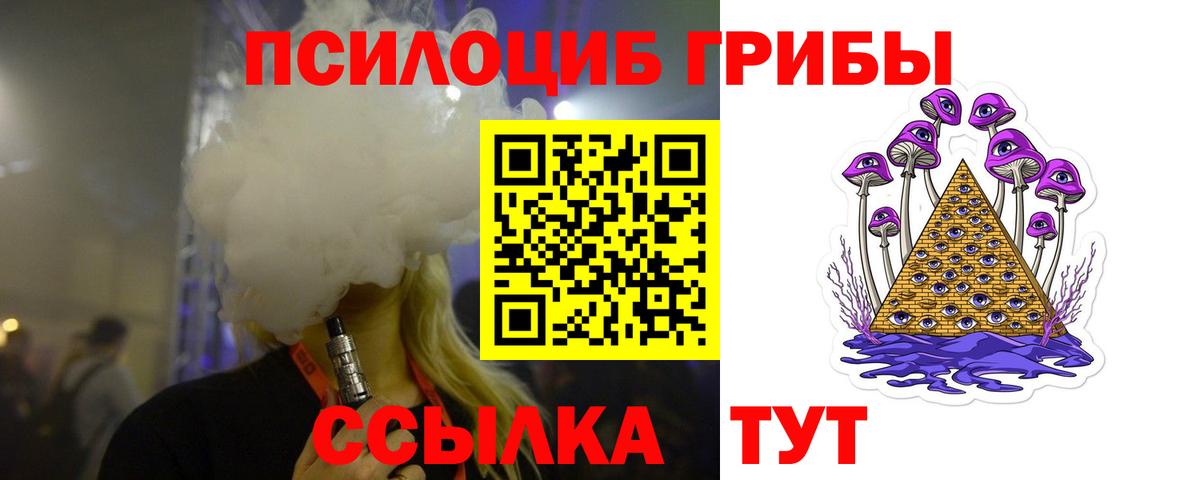 Псилоцибиновые грибы мухоморы  Псилоцибиновые грибы мухоморы  купить закладку  Вход с VPN  Приморско-Ахтарск 